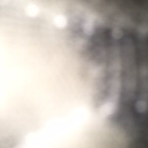 Meet your Posher, Terrion